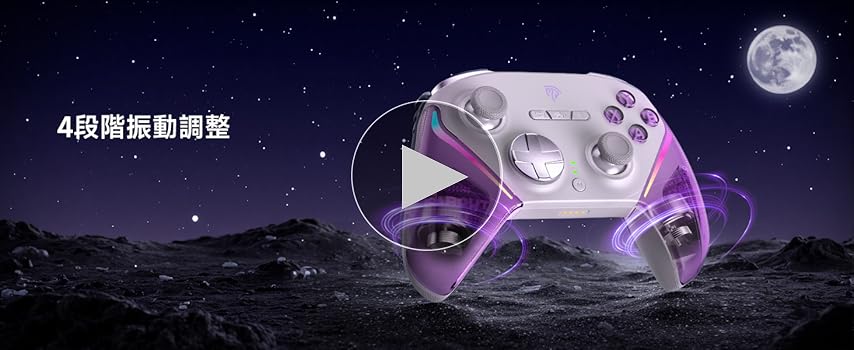 m*a様 Switch 本体　動作確認ok ドッグ　コントローラー類　その他もろ m*a様 Switch 本体 動作確認ok ドッグ コントローラー類 その他